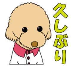 My dear dog - Toy poodle ver sticker #2237470