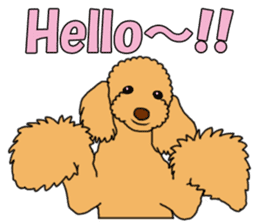 My dear dog - Toy poodle ver sticker #2237471