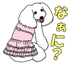 My dear dog - Toy poodle ver sticker #2237472