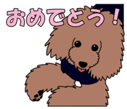 My dear dog - Toy poodle ver sticker #2237473