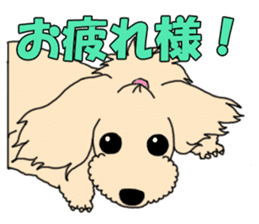 My dear dog - Toy poodle ver sticker #2237474