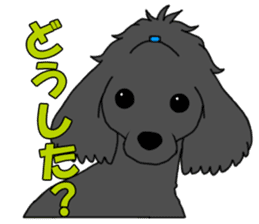 My dear dog - Toy poodle ver sticker #2237475