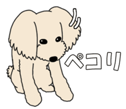 My dear dog - Toy poodle ver sticker #2237476