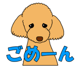 My dear dog - Toy poodle ver sticker #2237479