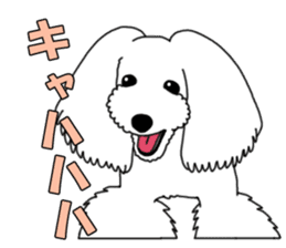 My dear dog - Toy poodle ver sticker #2237480