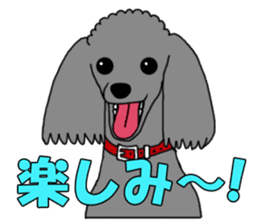 My dear dog - Toy poodle ver sticker #2237485