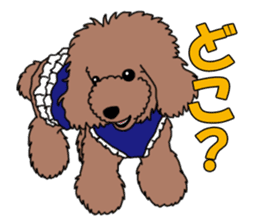 My dear dog - Toy poodle ver sticker #2237489