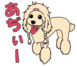 My dear dog - Toy poodle ver sticker #2237490