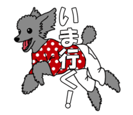 My dear dog - Toy poodle ver sticker #2237493