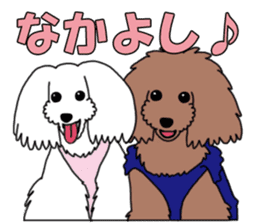 My dear dog - Toy poodle ver sticker #2237497