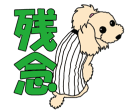 My dear dog - Toy poodle ver sticker #2237498
