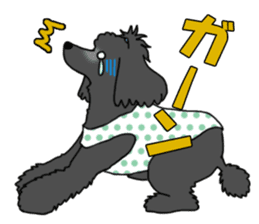 My dear dog - Toy poodle ver sticker #2237499