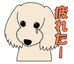 My dear dog - Toy poodle ver sticker #2237500