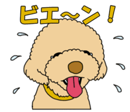 My dear dog - Toy poodle ver sticker #2237502