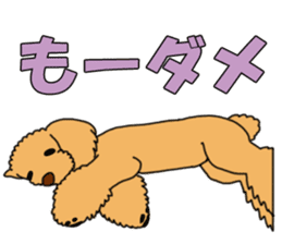 My dear dog - Toy poodle ver sticker #2237503