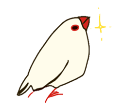 paddy bird sticker #2239227