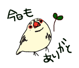 paddy bird sticker #2239234