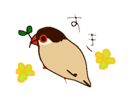 paddy bird sticker #2239238
