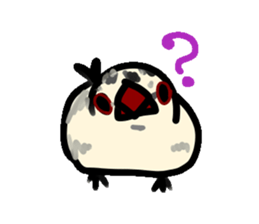 paddy bird sticker #2239241