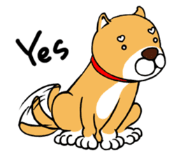 Japanese dog Mofro 1000% sticker #2239559