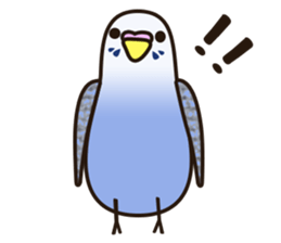 budgerigar! sticker #2239751