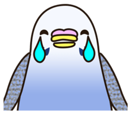 budgerigar! sticker #2239753