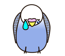 budgerigar! sticker #2239754