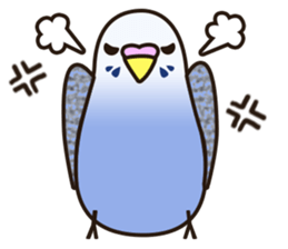 budgerigar! sticker #2239757