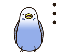 budgerigar! sticker #2239758
