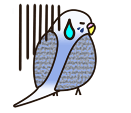 budgerigar! sticker #2239759