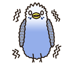budgerigar! sticker #2239764