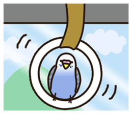 budgerigar! sticker #2239775