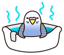 budgerigar! sticker #2239777
