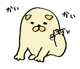 Japanese midget Shiba Kolo 2 sticker #2240747