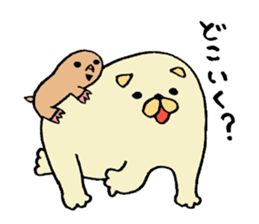 Japanese midget Shiba Kolo 2 sticker #2240752