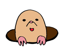 Japanese midget Shiba Kolo 2 sticker #2240753