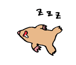 Japanese midget Shiba Kolo 2 sticker #2240755