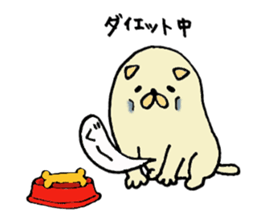 Japanese midget Shiba Kolo 2 sticker #2240756