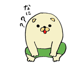 Japanese midget Shiba Kolo 2 sticker #2240761