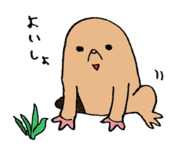 Japanese midget Shiba Kolo 2 sticker #2240765