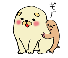 Japanese midget Shiba Kolo 2 sticker #2240772