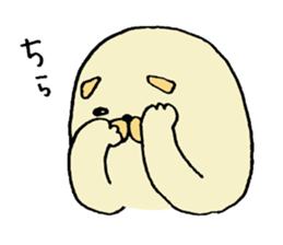 Japanese midget Shiba Kolo 2 sticker #2240778