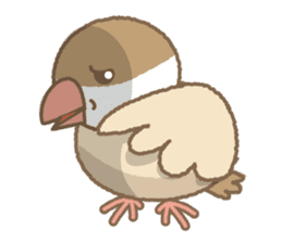 Java sparrow_cinnamon sticker #2241774