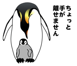 PENGUINS!! sticker #2241784