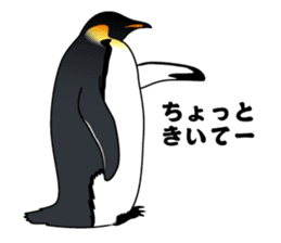 PENGUINS!! sticker #2241811