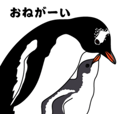 PENGUINS!! sticker #2241814