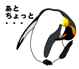 PENGUINS!! sticker #2241820