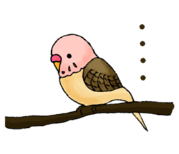 Birds of strawberry ice pattern sticker #2242395