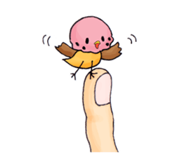 Birds of strawberry ice pattern sticker #2242421