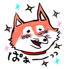 Shiba inu Momo and black cat Jiro. sticker #2243786